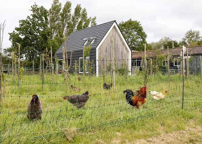 Hello Zeeland - Vakantiewoning Kalfhoeksepad 8