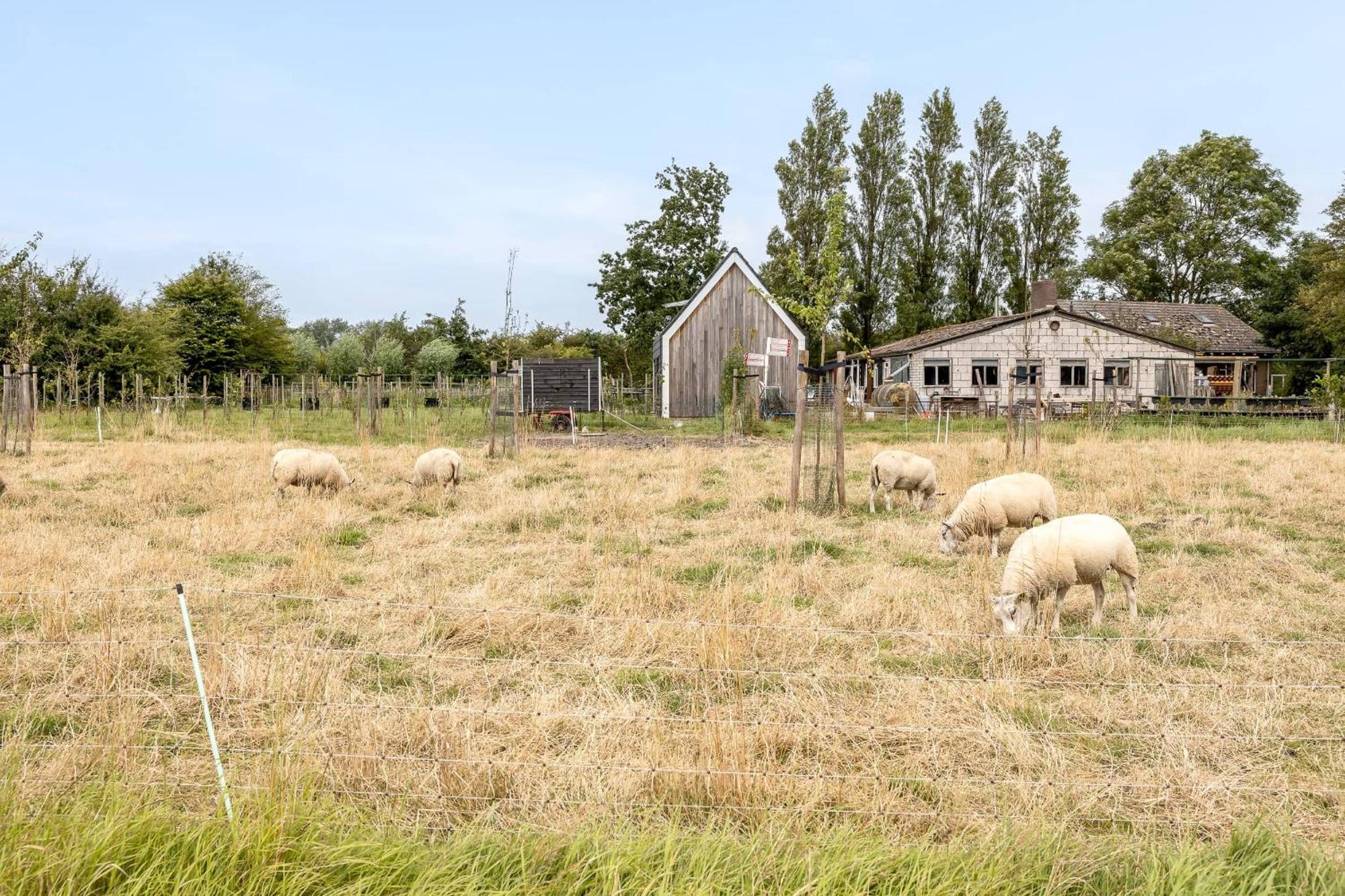 Holiday home Hello Zeeland - Vakantiewoning Kalfhoeksepad 8 Aagtekerke